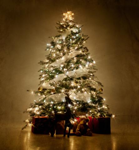 6. Christmas tree. expectation