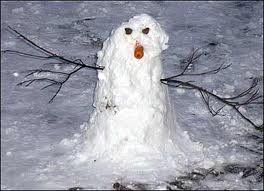 8. Make a snowman. reality