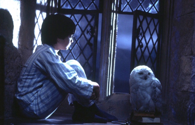 christmas, movie, hollywood, winter, festival, oh my, movie, christmas movie, holiday movie, new year movie