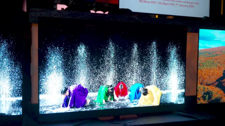 Question: What was the most impressive thing you saw at CES? 1 Panasonic Z95B