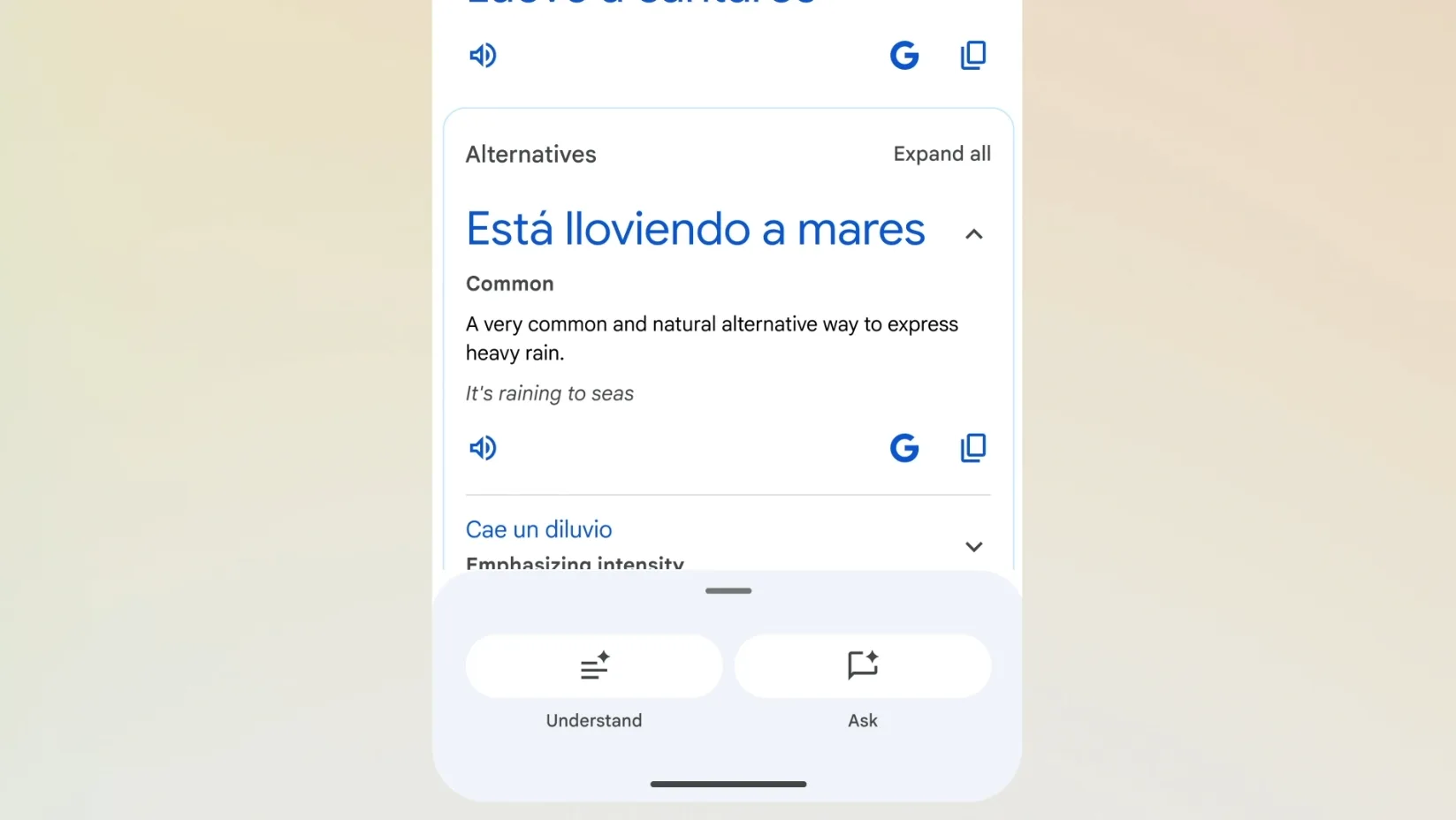 Google Translate can finally decipher “cats and dogs in the rain.” 2 Text, electronics, cell phone