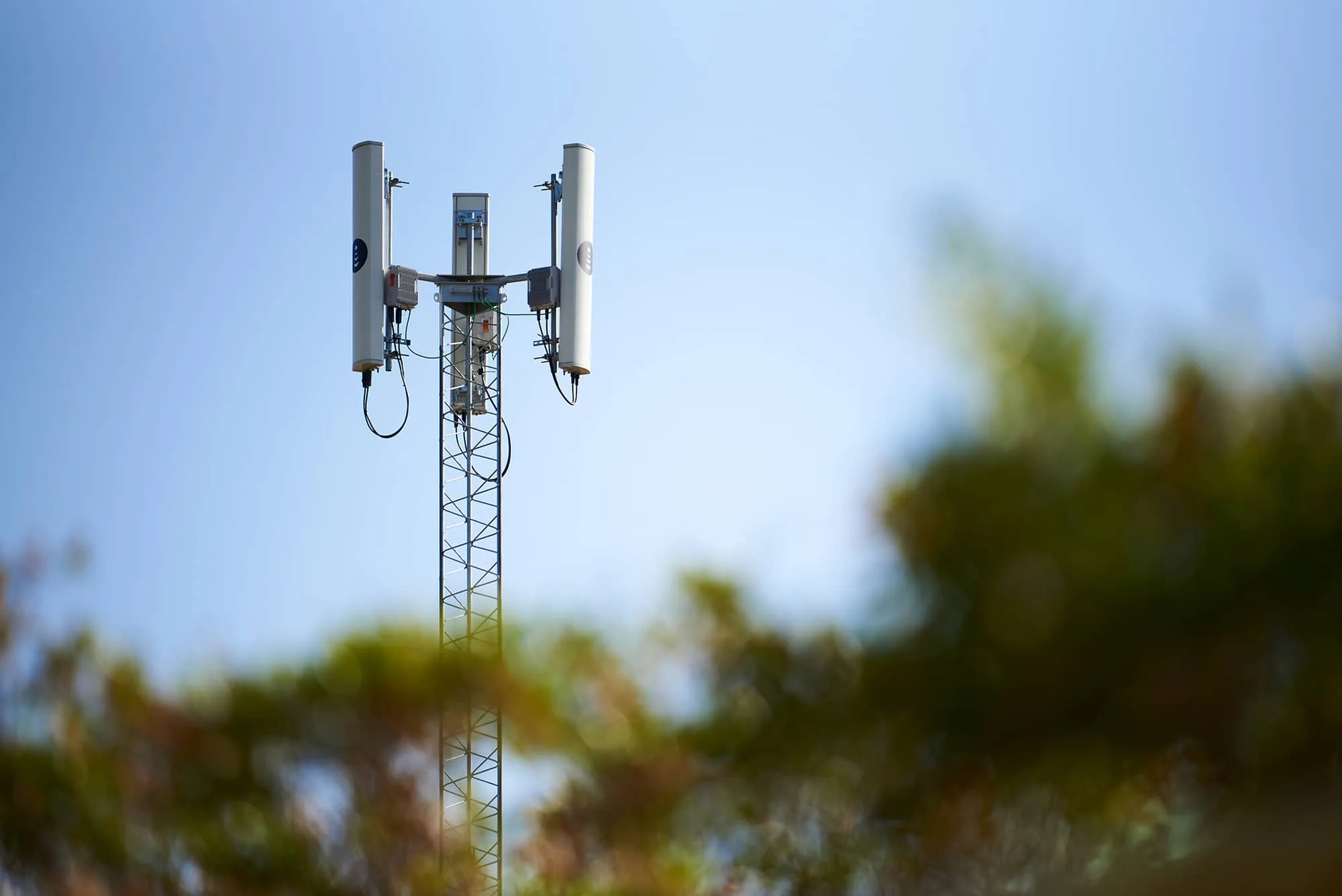 5G vs. LTE: What's the Difference and Why Should You Care? 3 Looking at the 5G tower through the leaves with the blue sky in the background.
