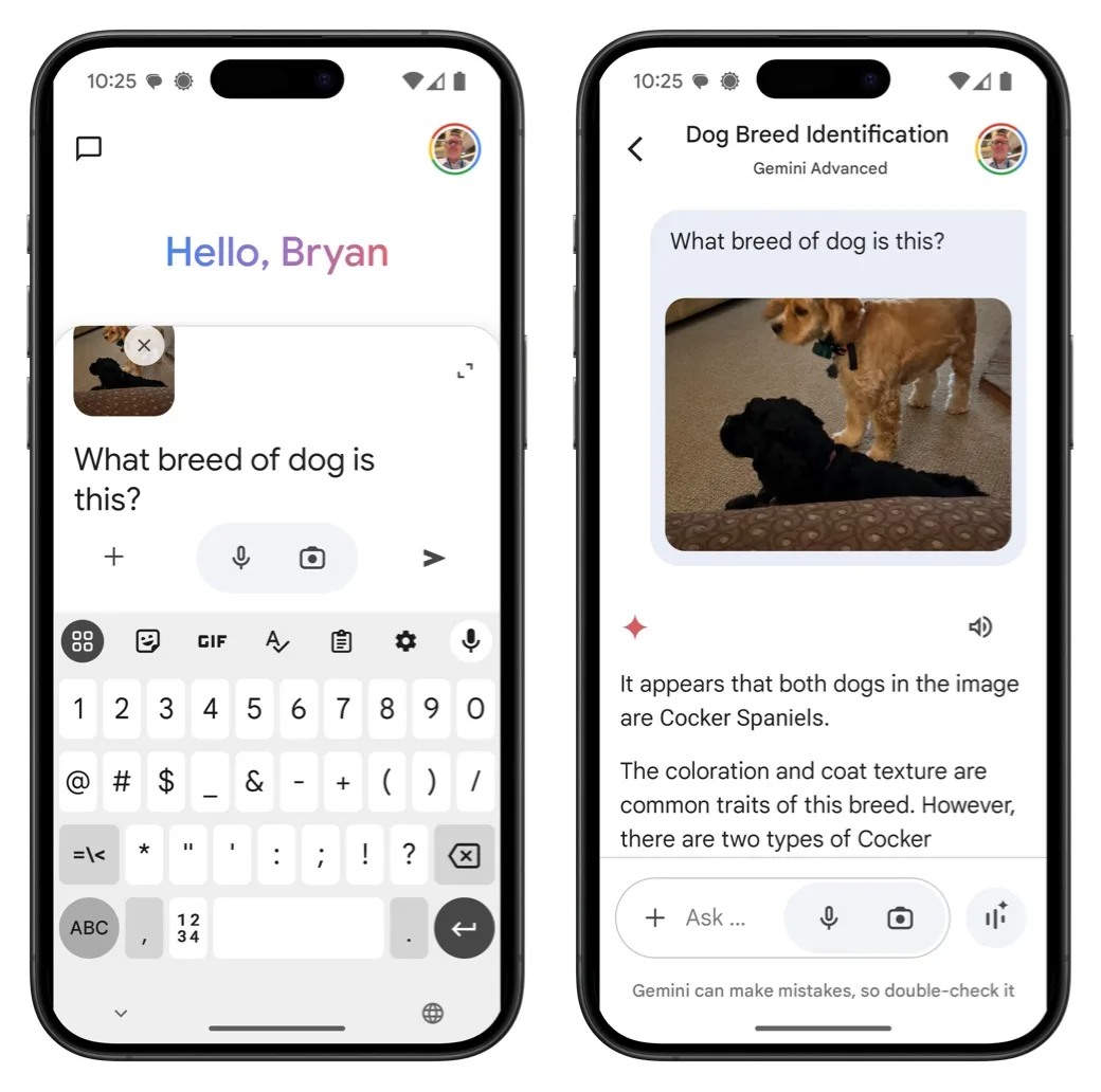 How to Perform Reverse Image Search on Android and iOS Using Google or ChatGPT 6 Screenshot showing using Google Gemini for image search.