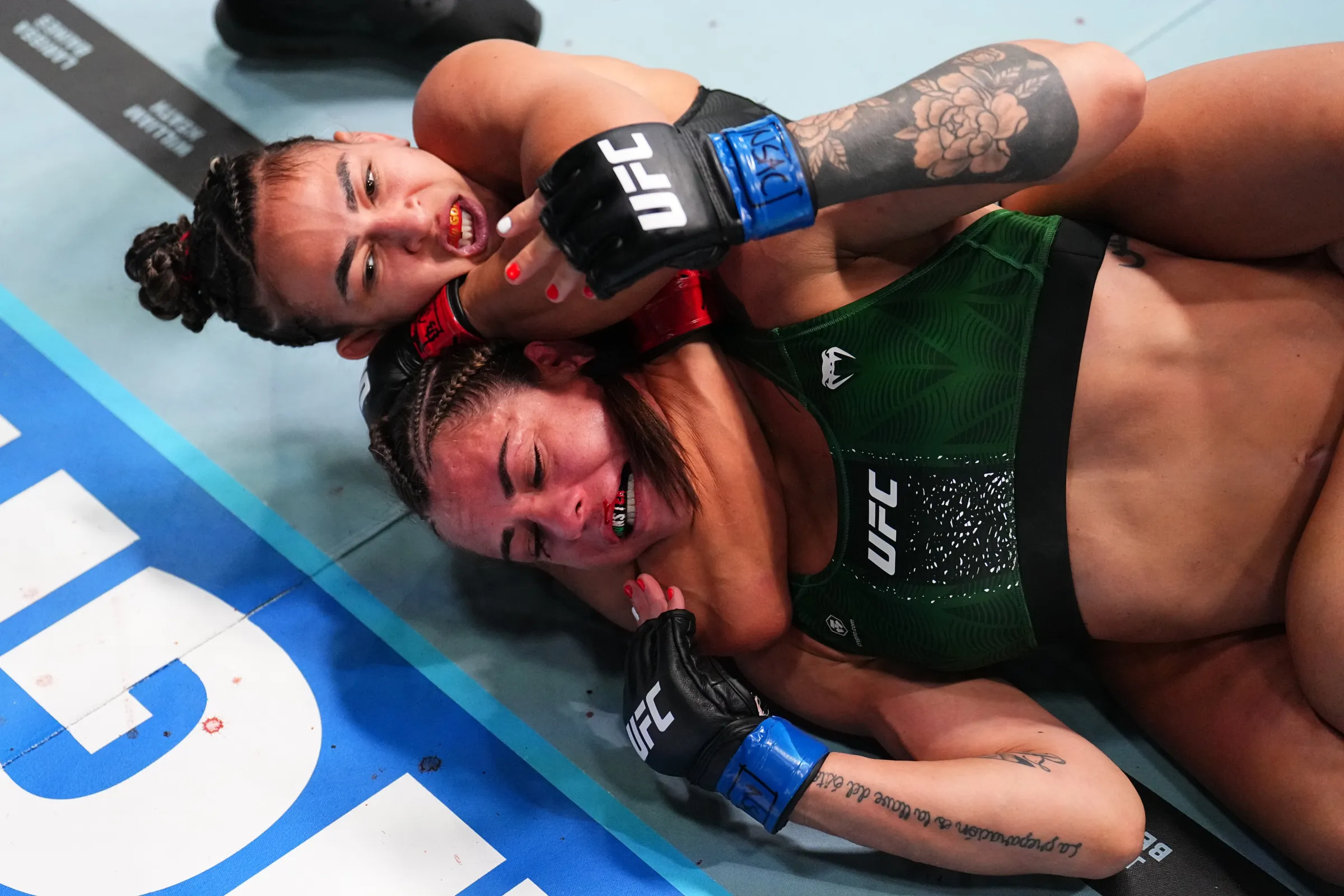 UFC Fight Night: Mezquita vs. Rendon