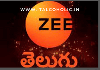 ZEE Telugu TV Serial Audition 2025