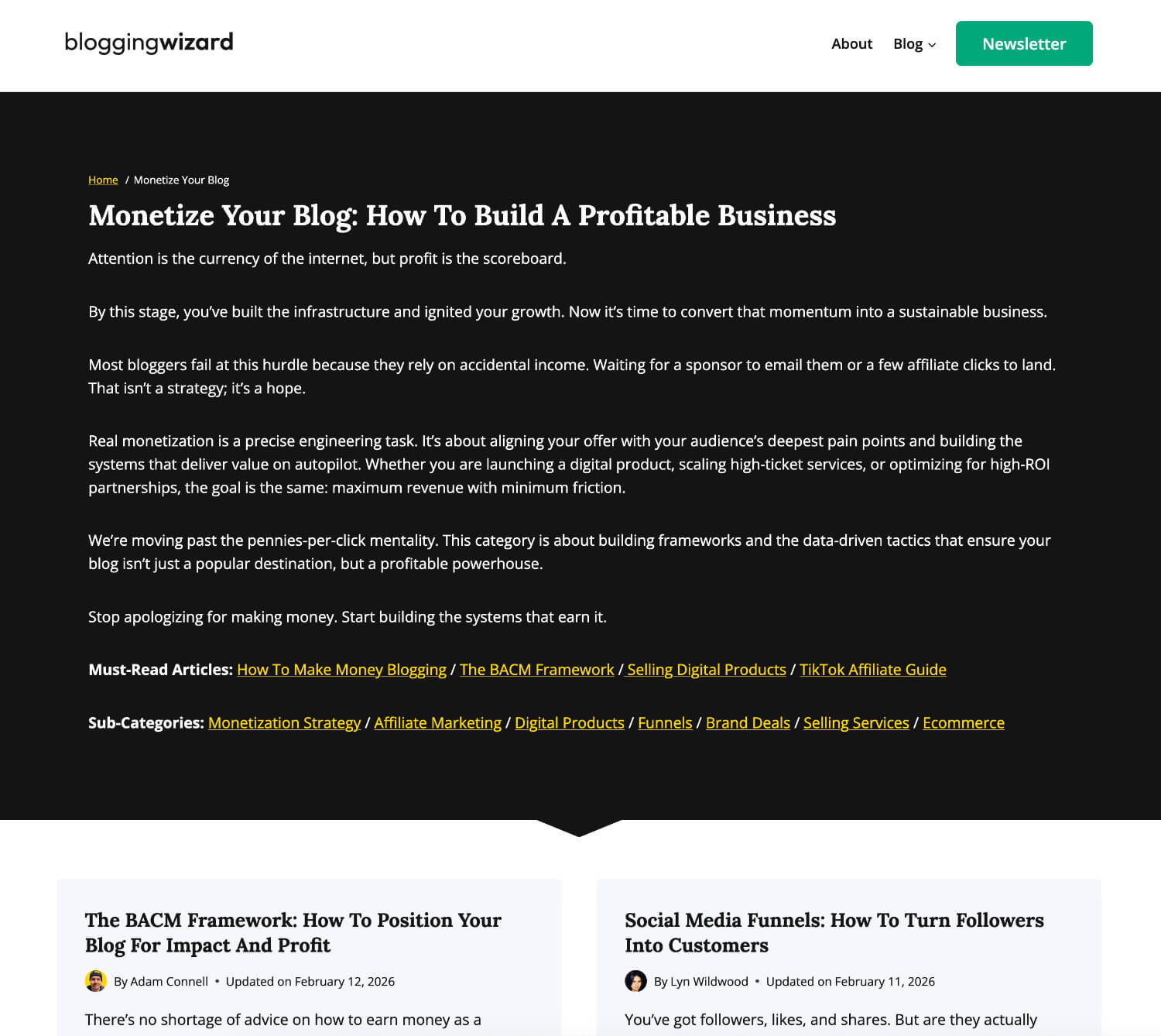 کیوں میں نے بلاگنگ کے 14 سال کے زمروں کو جلایا اور شروع سے شروع کیا۔ 4 03 منیٹائزیشن نیا ذیلی زمرہ ڈیزائن