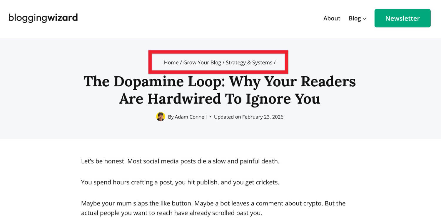 کیوں میں نے بلاگنگ کے 14 سال کے زمروں کو جلایا اور شروع سے شروع کیا۔ 6 SEO کے لیے 04 بریڈ کرمبس