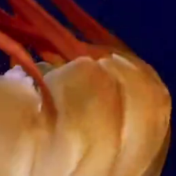 WebCodecs ہینڈ بک: براؤزرز میں بنیادی ویڈیو پروسیسنگ 27 3Mbps فریم