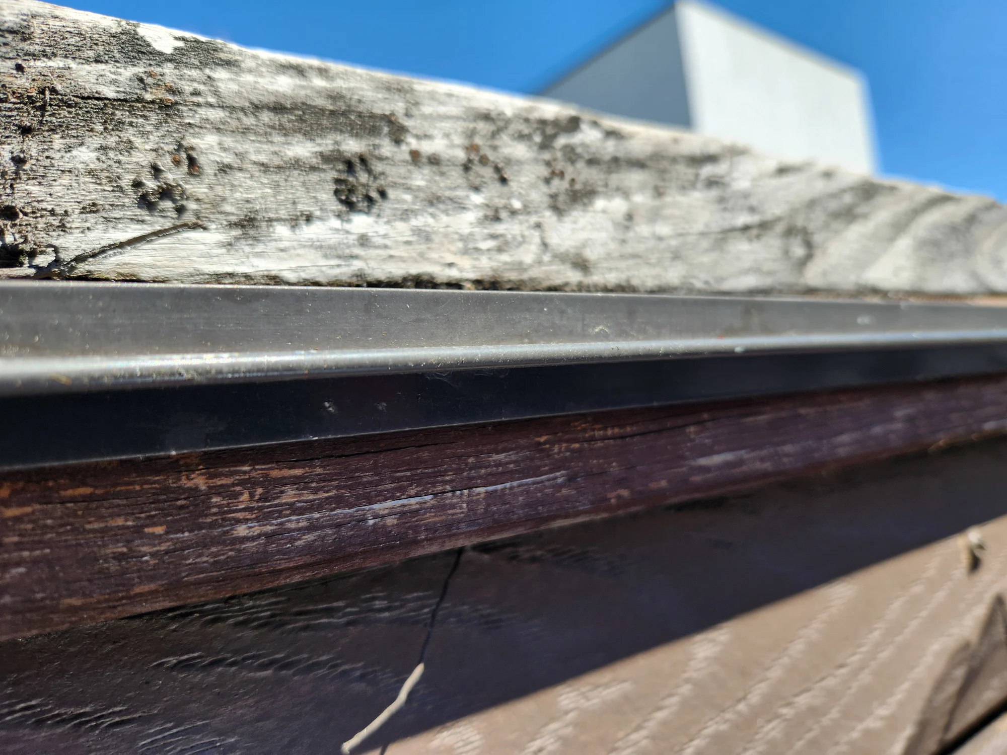 SCRENEZE بیس کا قریبی اپ۔