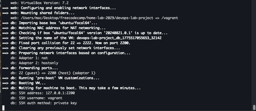 اسکرین شاٹ ٹرمینل میں ورچوئل باکس کی تنصیب کا عمل دکھا رہا ہے۔