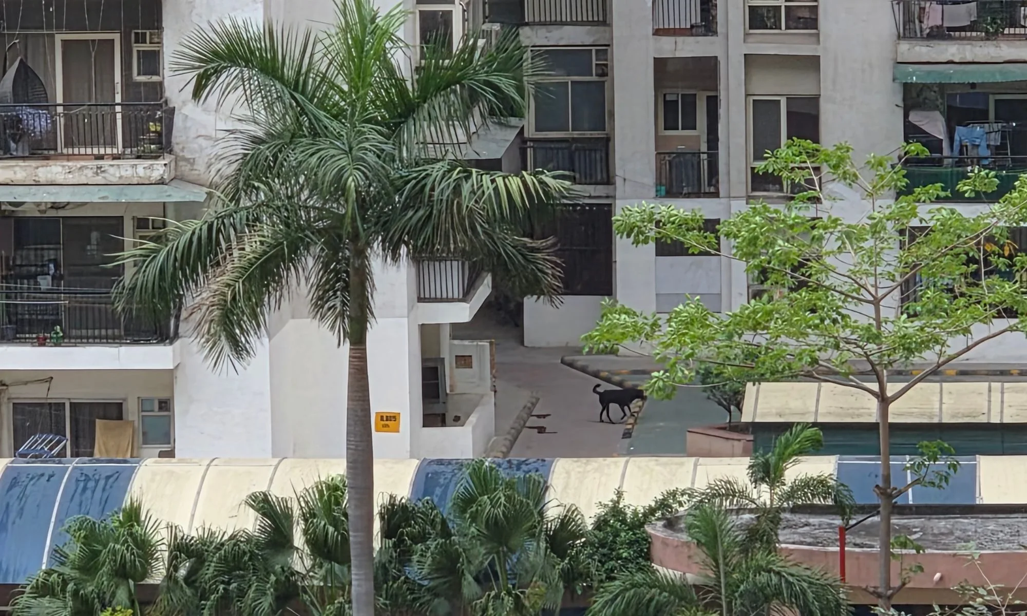 Samsung S26 Plus جائزہ: مسلسل بورنگ 8 Samsung S26 Plus کیمرے کا نمونہ