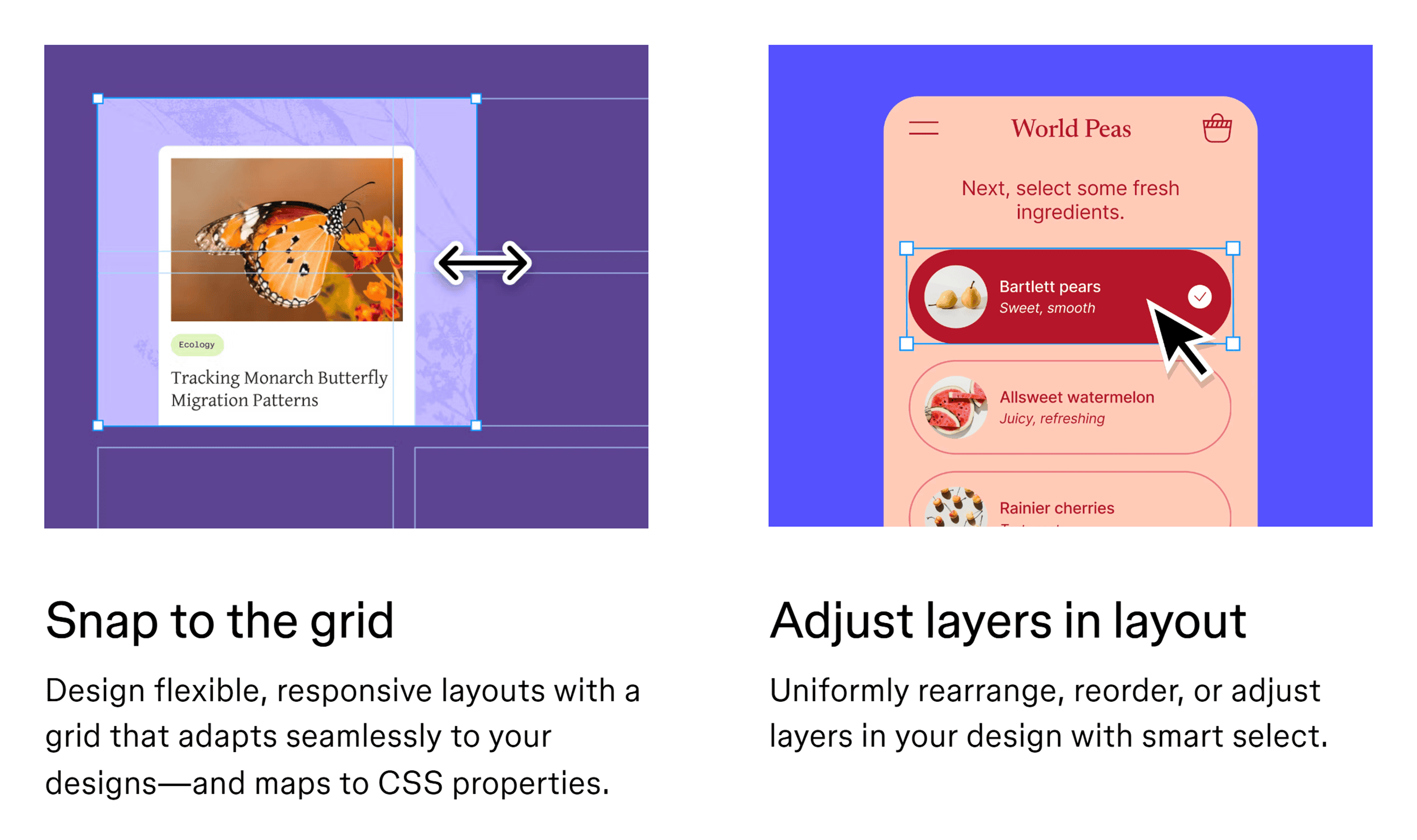 فگما - خصوصیات