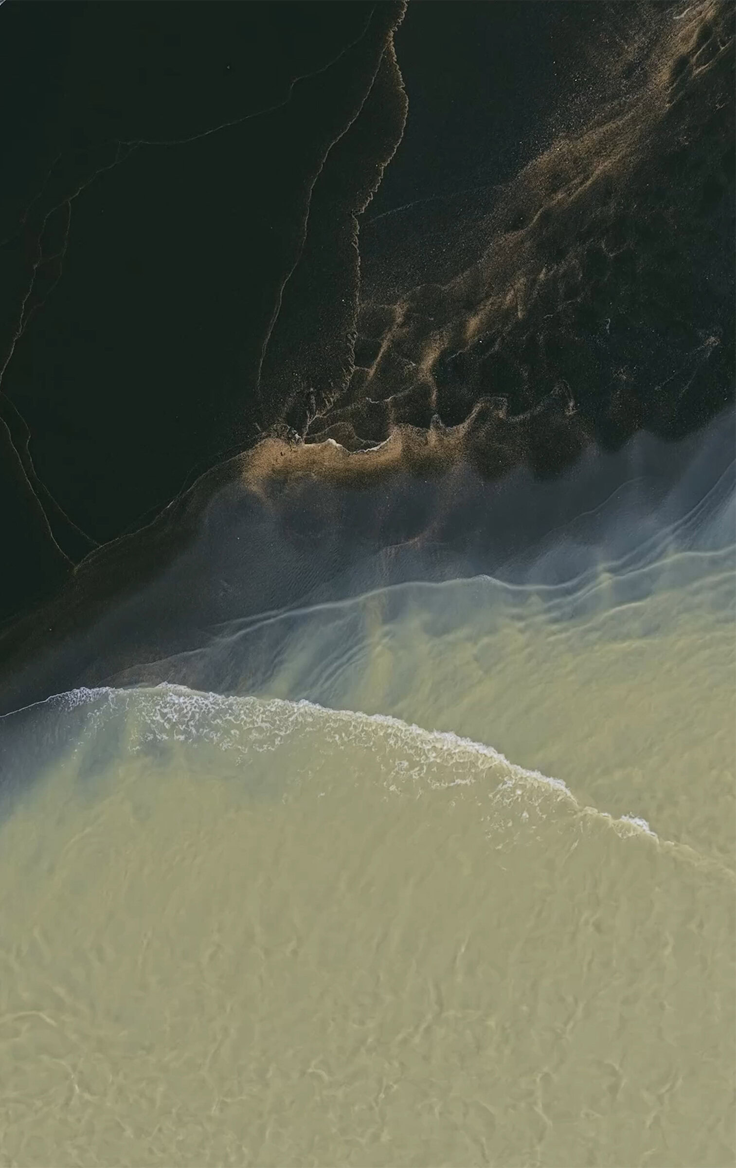 Pixel11ProFold Pine Front Mystic Leaks