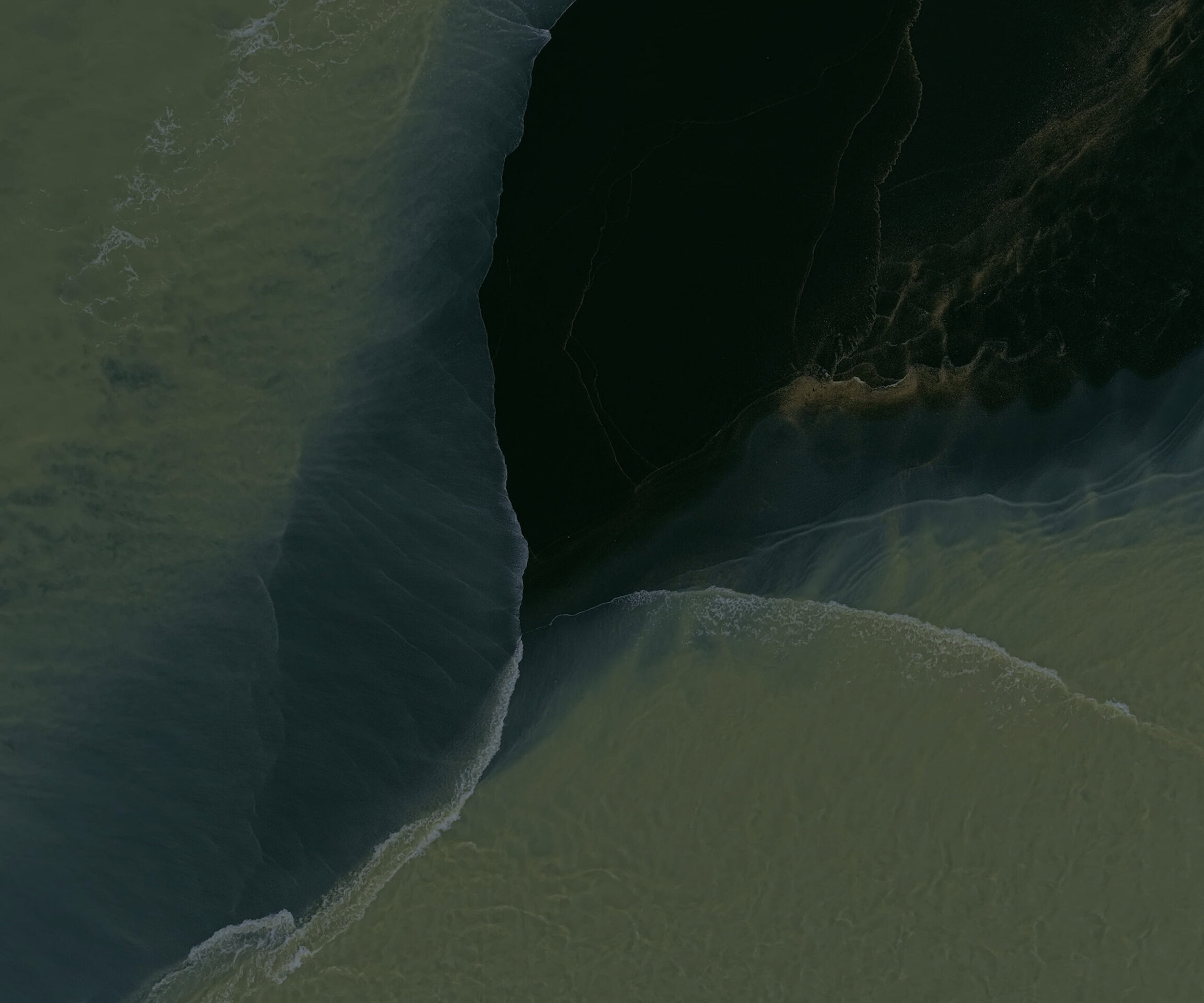 Pixel11ProFold Pine Dark Mystic Leaks