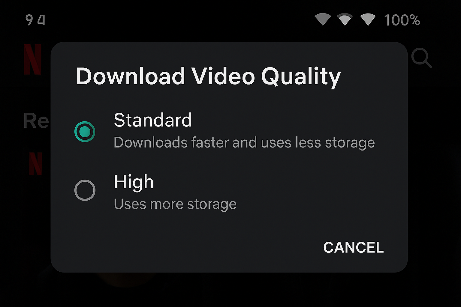 Netflix ایپ ڈاؤن لوڈ کی ترتیبات کوالٹی آپشنز اور ڈاؤن لوڈ مینجمنٹ دکھا رہی ہیں۔