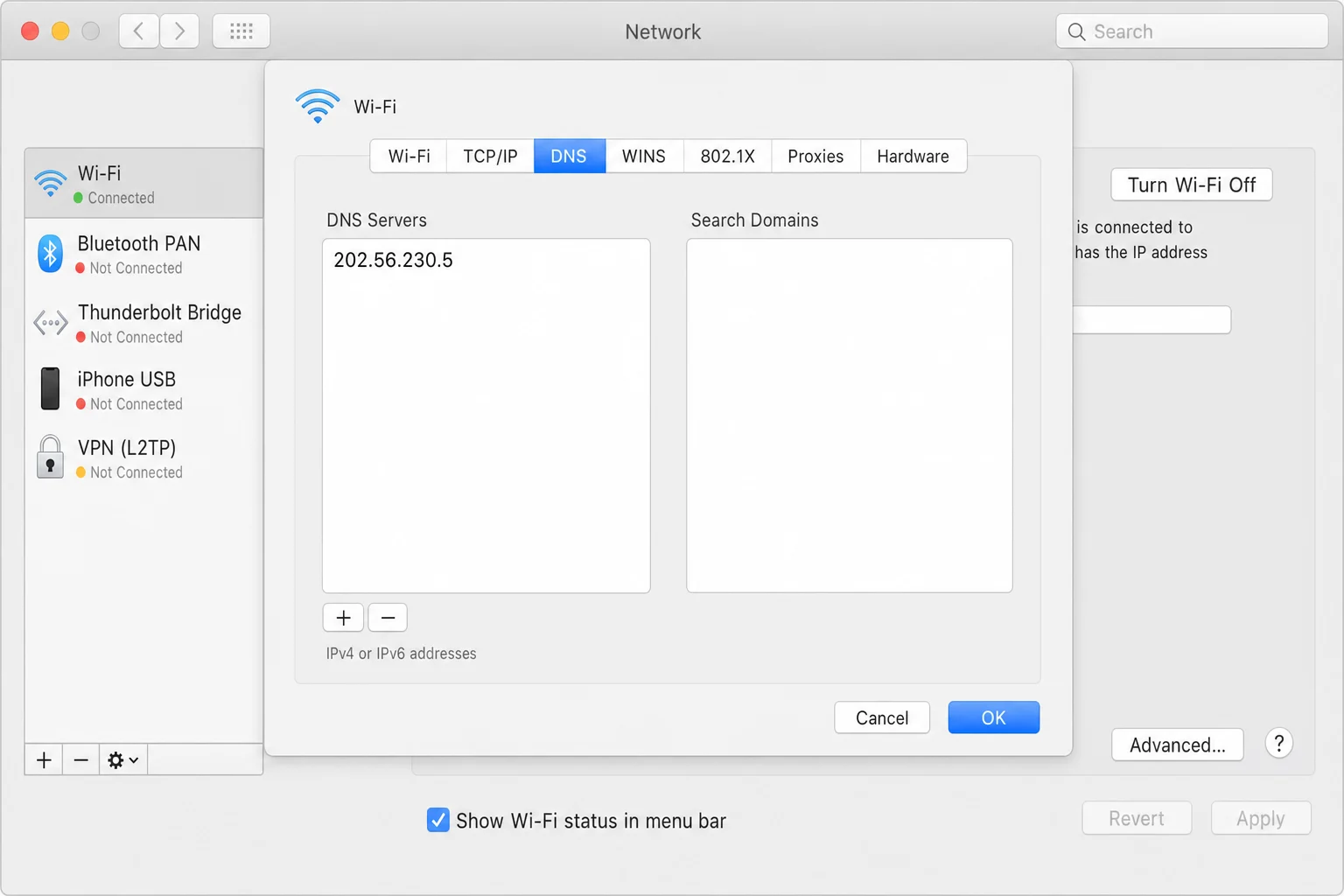 DNS کے لیے گیمرز کی حتمی گائیڈ: 2026 میں تیز تر رابطے 6 macOS نیٹ ورک کی ترتیبات DNS ٹیب کے ساتھ DNS سرورز فیلڈ اور پلس بٹن نئے سرورز کو شامل کرنے کے لیے
