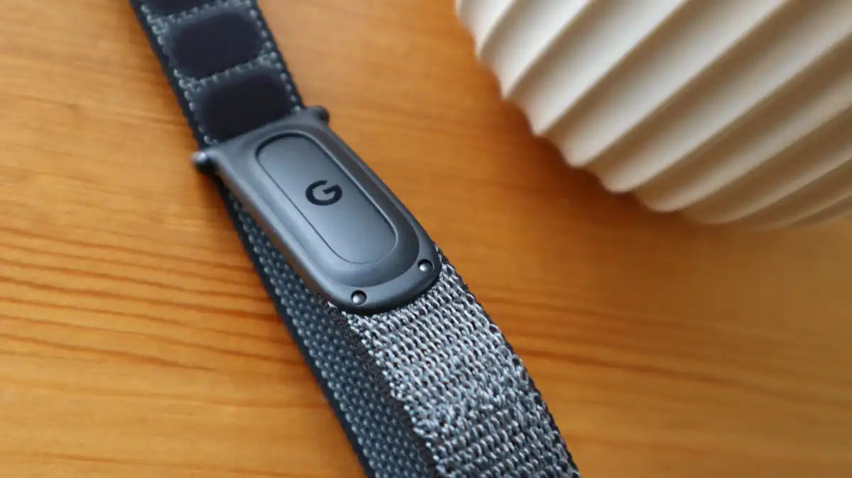 Fitbit Air: 3 چیزیں آپ کو خریدنے سے پہلے جاننے کی ضرورت ہے۔ 2 پٹے کے اندر Fitbit Air پر ایک نظر