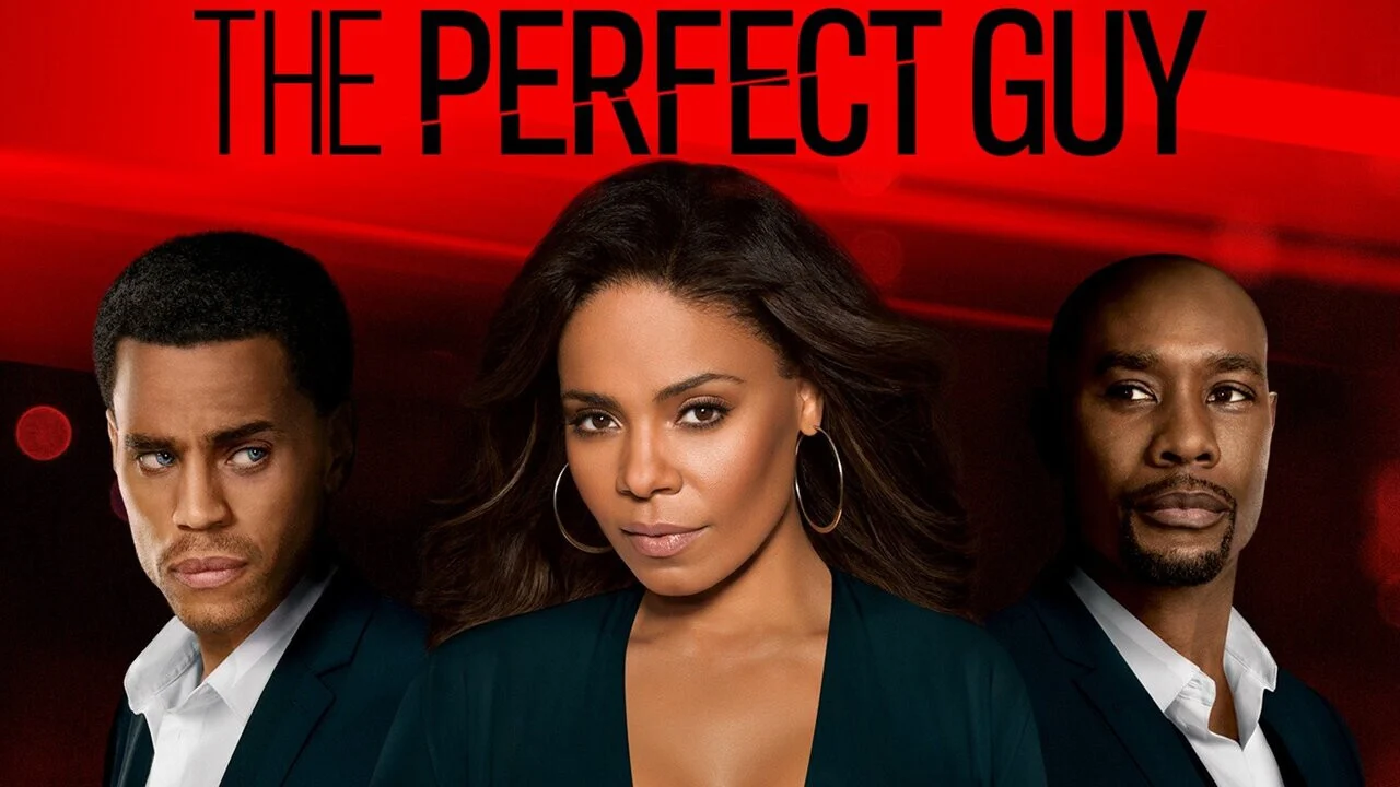 Perfect Guy (2015)