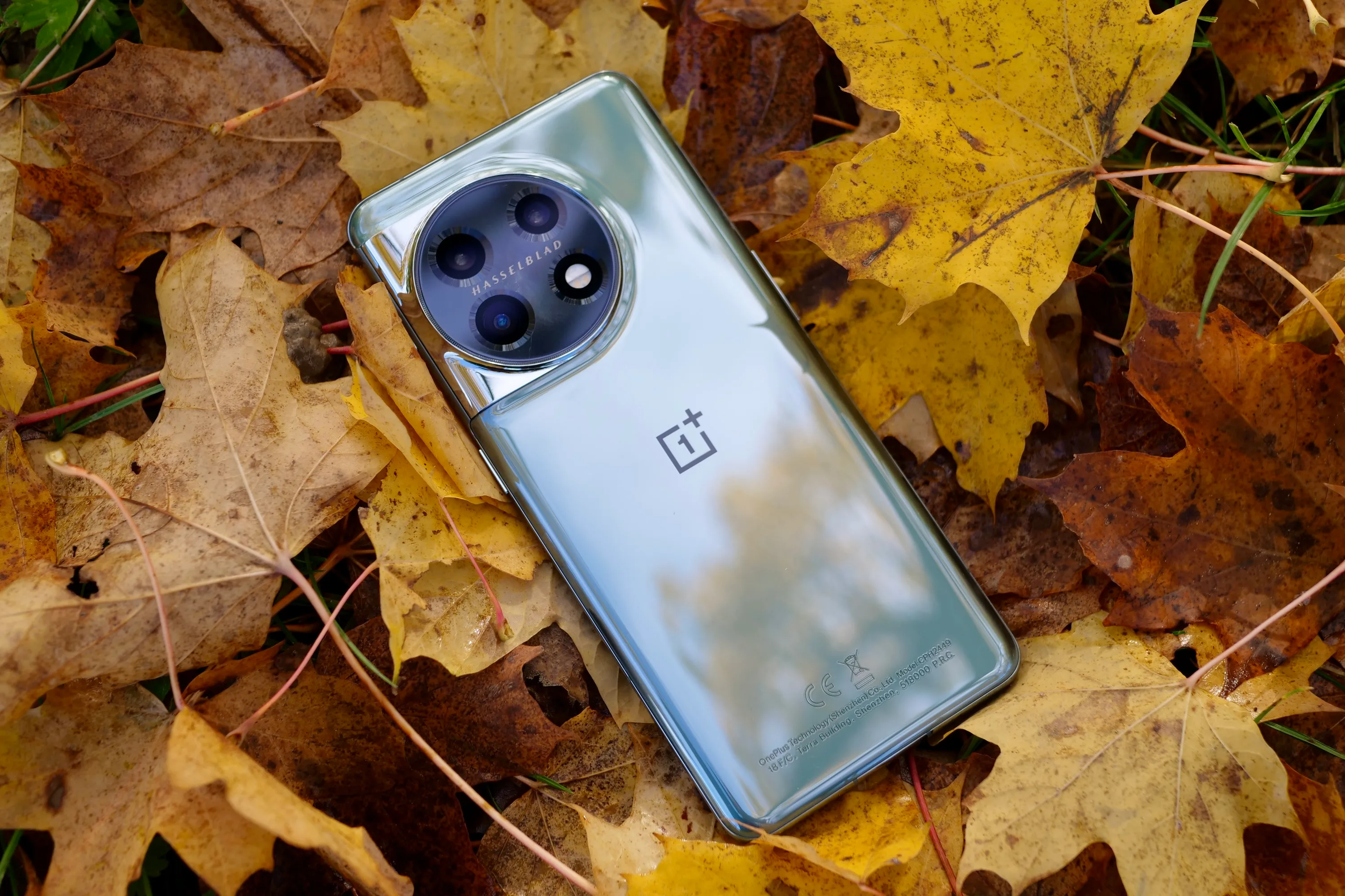 OnePlus چلا گیا، اور Android فونز امریکہ میں زیادہ بورنگ ہو گئے ہیں۔ 3 OnePlus 11 کچھ پتوں میں پچھلا پینل دکھا رہا ہے۔