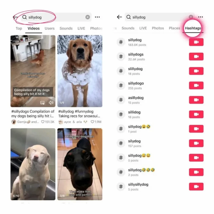 TikTok پر مشہور ہیش ٹیگز۔