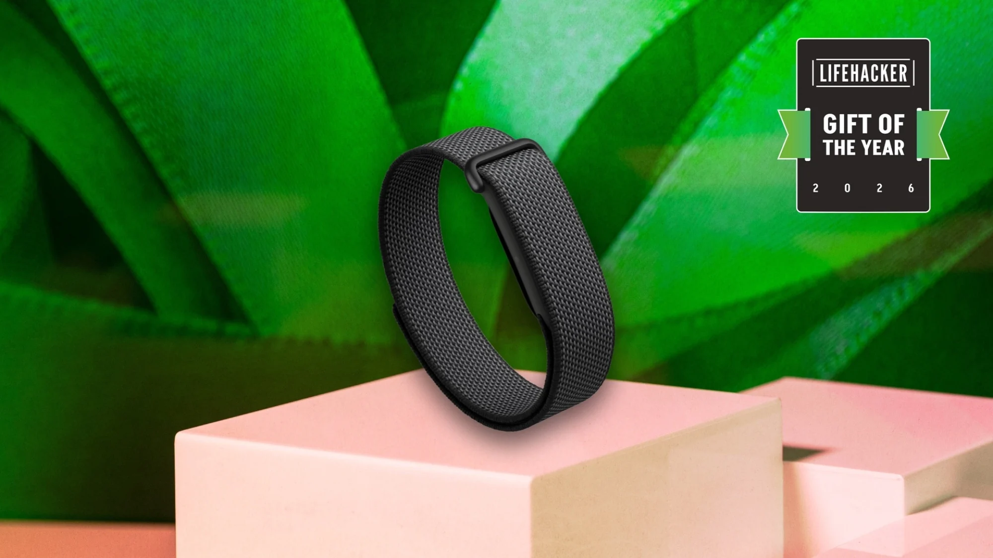 fitbit ہوا